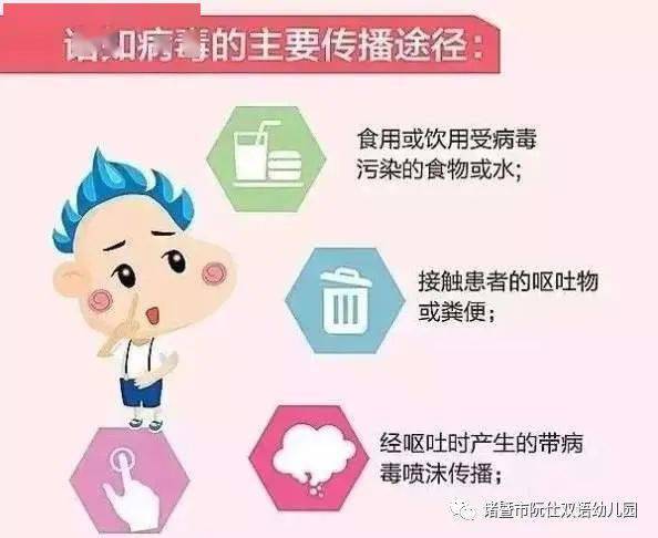 深刻理解诺如病毒 早防护，享健康——专业知识与保健课堂全指引